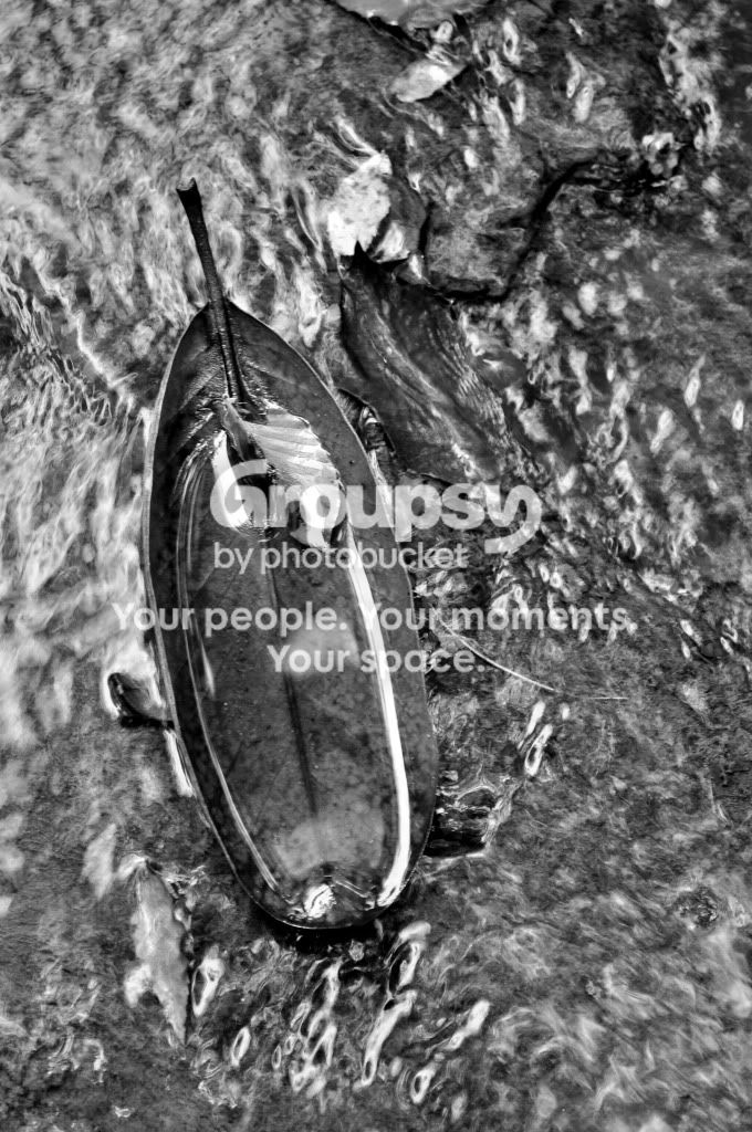 DSC_2072copy.jpg