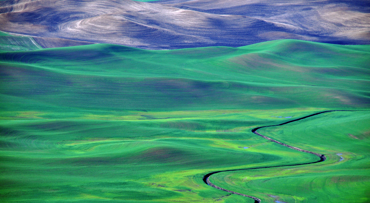20130409_207b.jpg