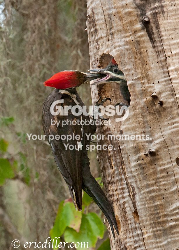 _ECD4525-copy860.jpg