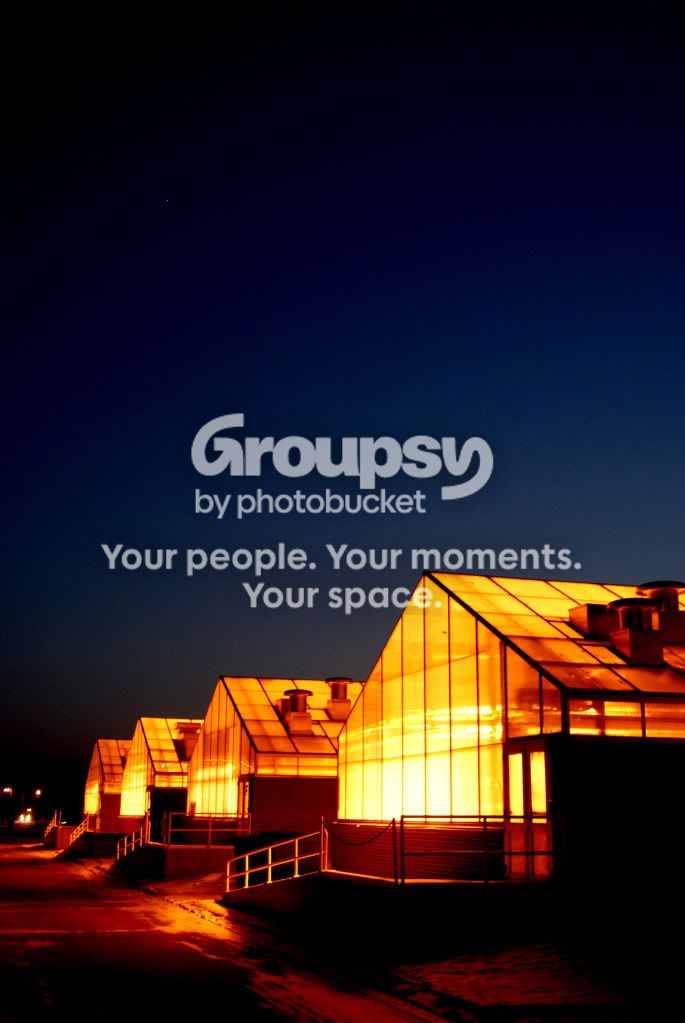 Greenhouses.jpg