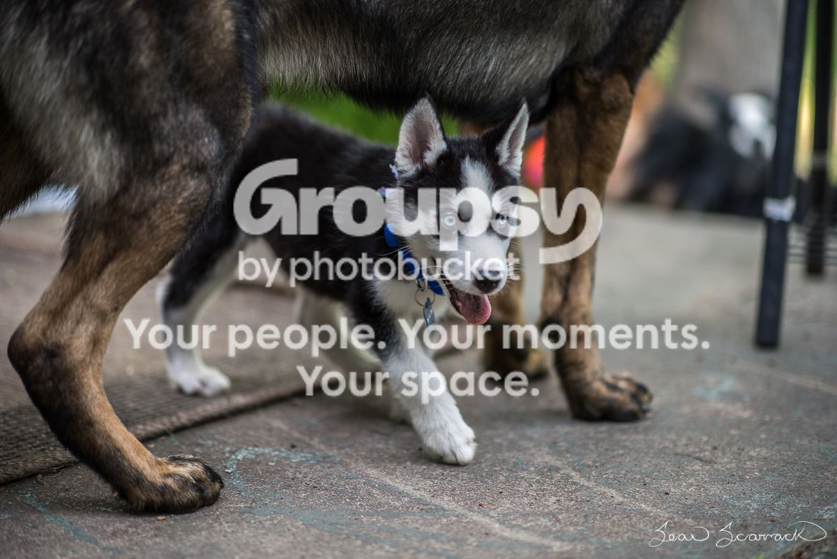 20150606-006_zpsq2wtmylt.jpg
