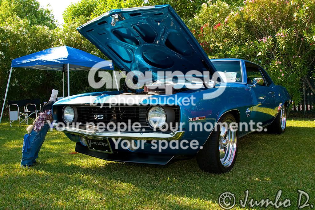 DSC_5567proccesedcopycopy.jpg
