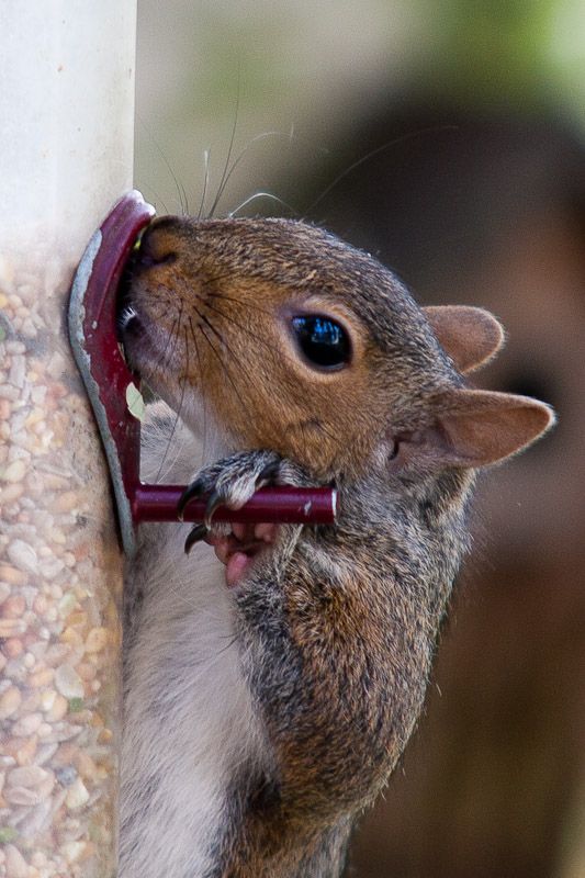 191010squizzle5.jpg