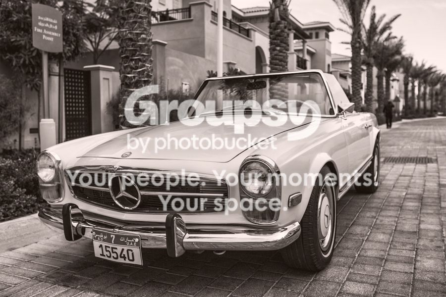 pagoda-bw_zps4e7fdb76.jpg