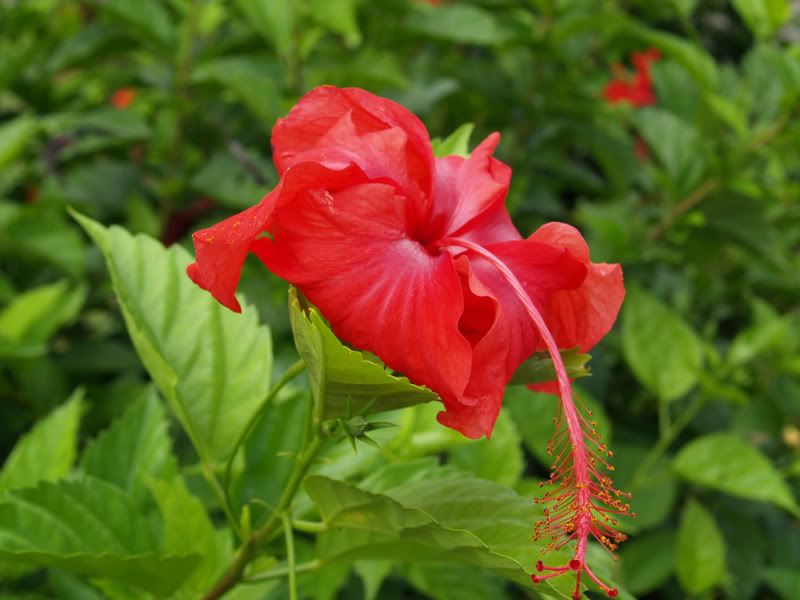P1011931sm.jpg