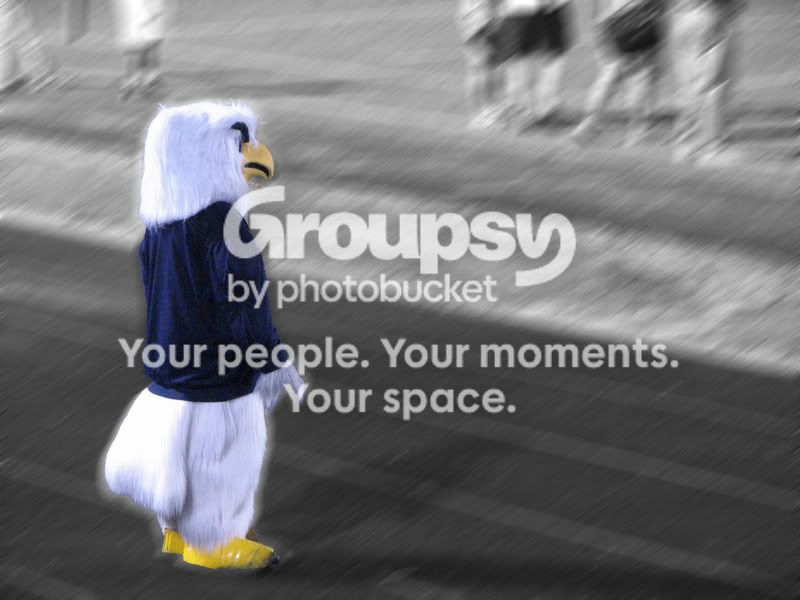 bird.jpg