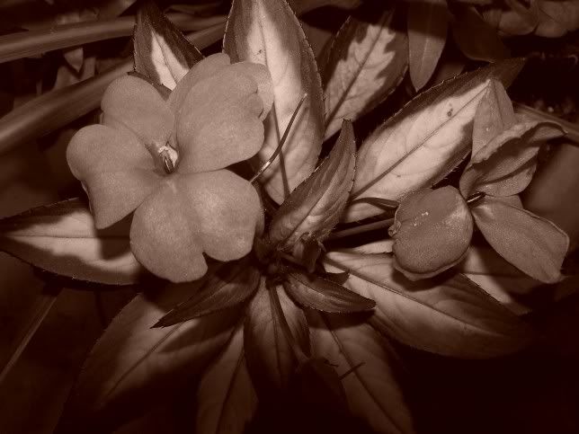 100_0092.jpg