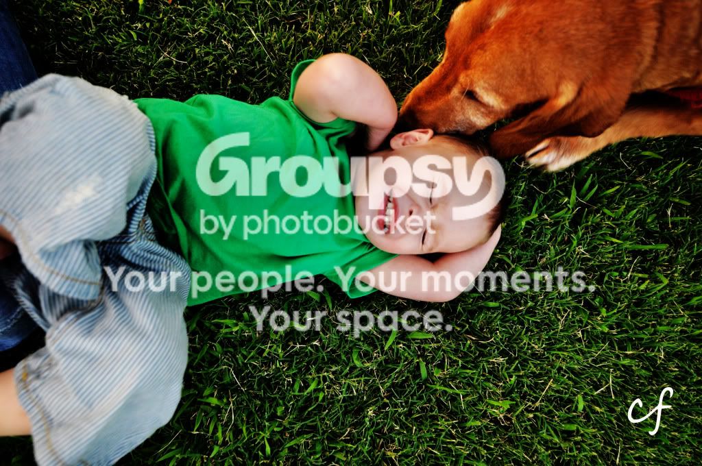 _DSC08072.jpg