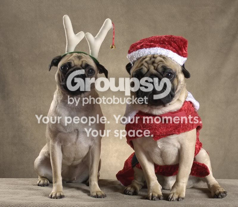Charlieportraitsanta200.jpg