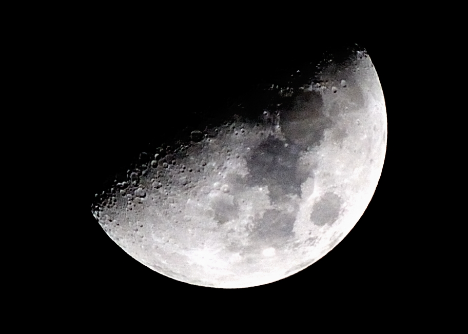 DSC_00013-XL.jpg