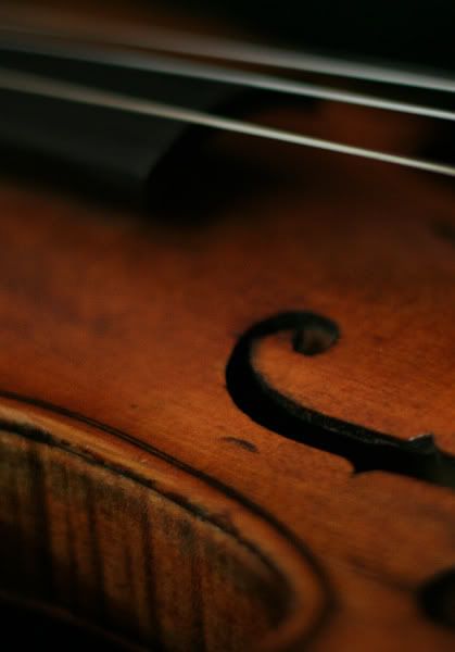 violin1562.jpg