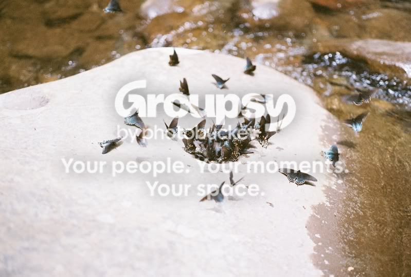 1702390-R1-E006.jpg