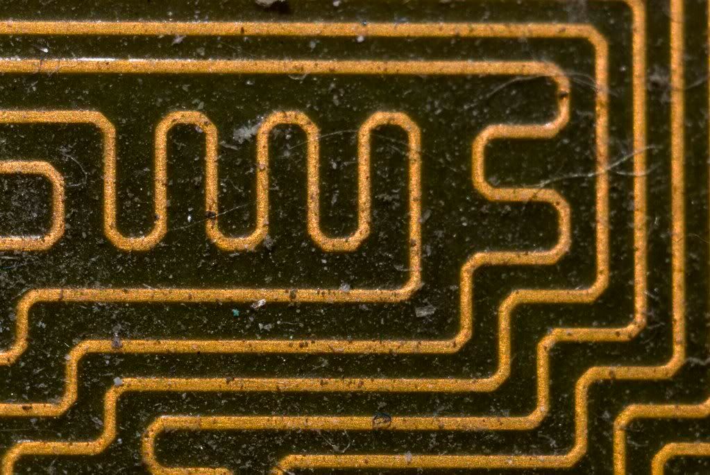 macro-072708a.jpg