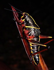 3558536366_1533d0676f_m.jpg