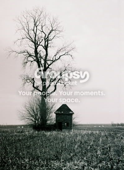 TreeHouse.jpg