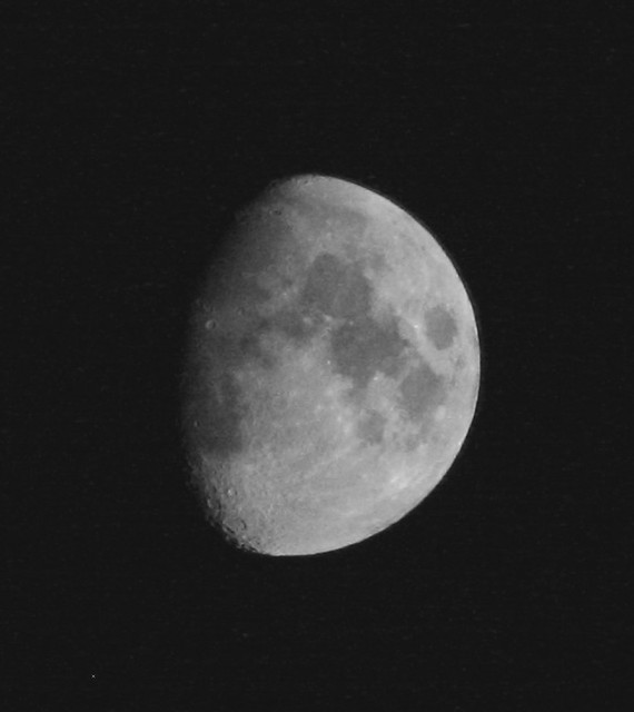 6029087157_721651df01_z.jpg