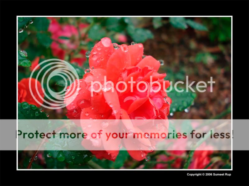 Droplets2.jpg