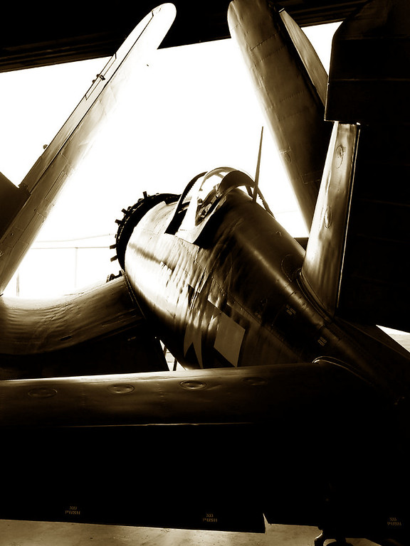 GRAA0086-XL.jpg