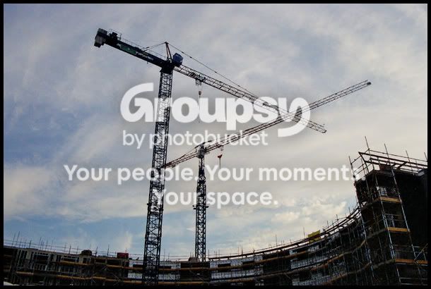 Cranes.jpg