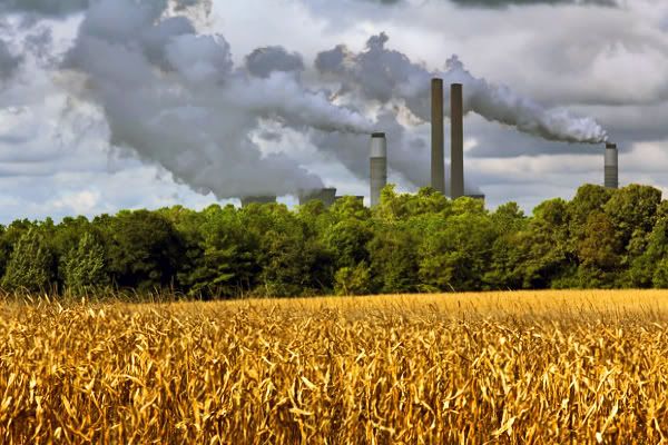 Corn-Power-orig-4765-M.jpg