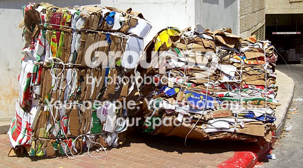 100_8250-2.jpg