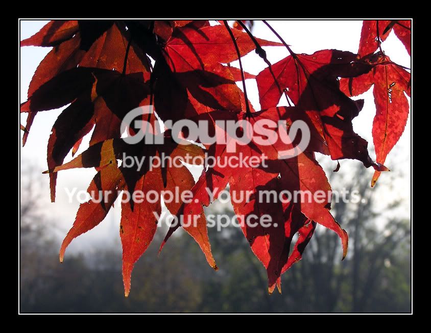 PB210041cropwborder_resize.jpg