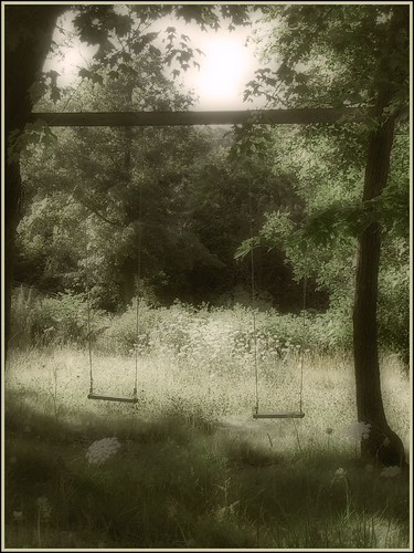 862895911_83dec319ec.jpg