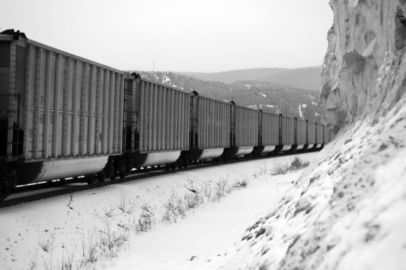 TrainCars.jpg