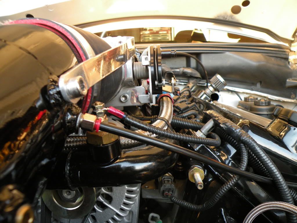 DSCN5439.jpg