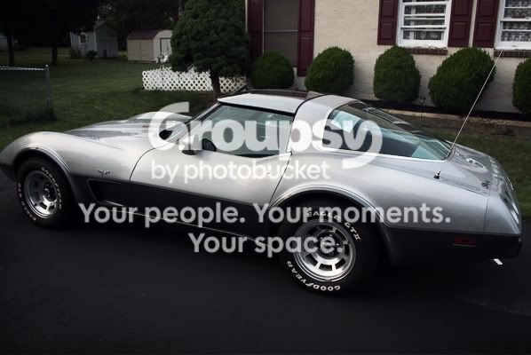 vette.jpg