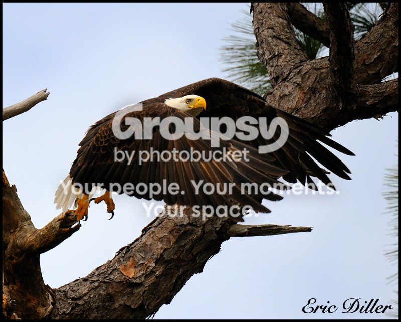 PIC_8129copy.jpg