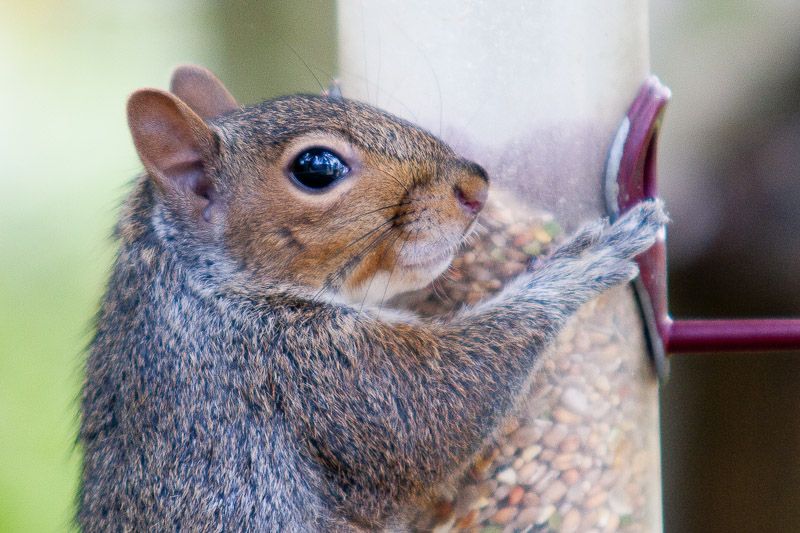 191010squizzle6.jpg