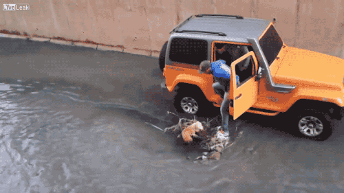 tumblr_necc7jT0sH1s02vreo2_500.gif