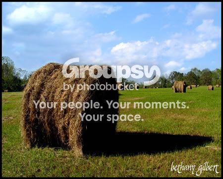 haybale1.jpg