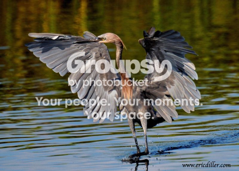 PIC_8771copy.jpg