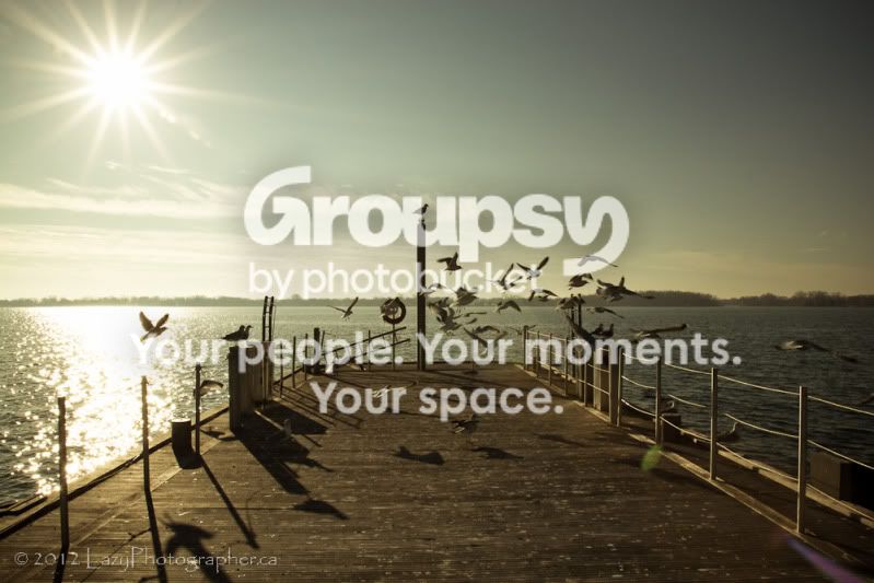 HarbrFrnt2012-27-EDITED.jpg