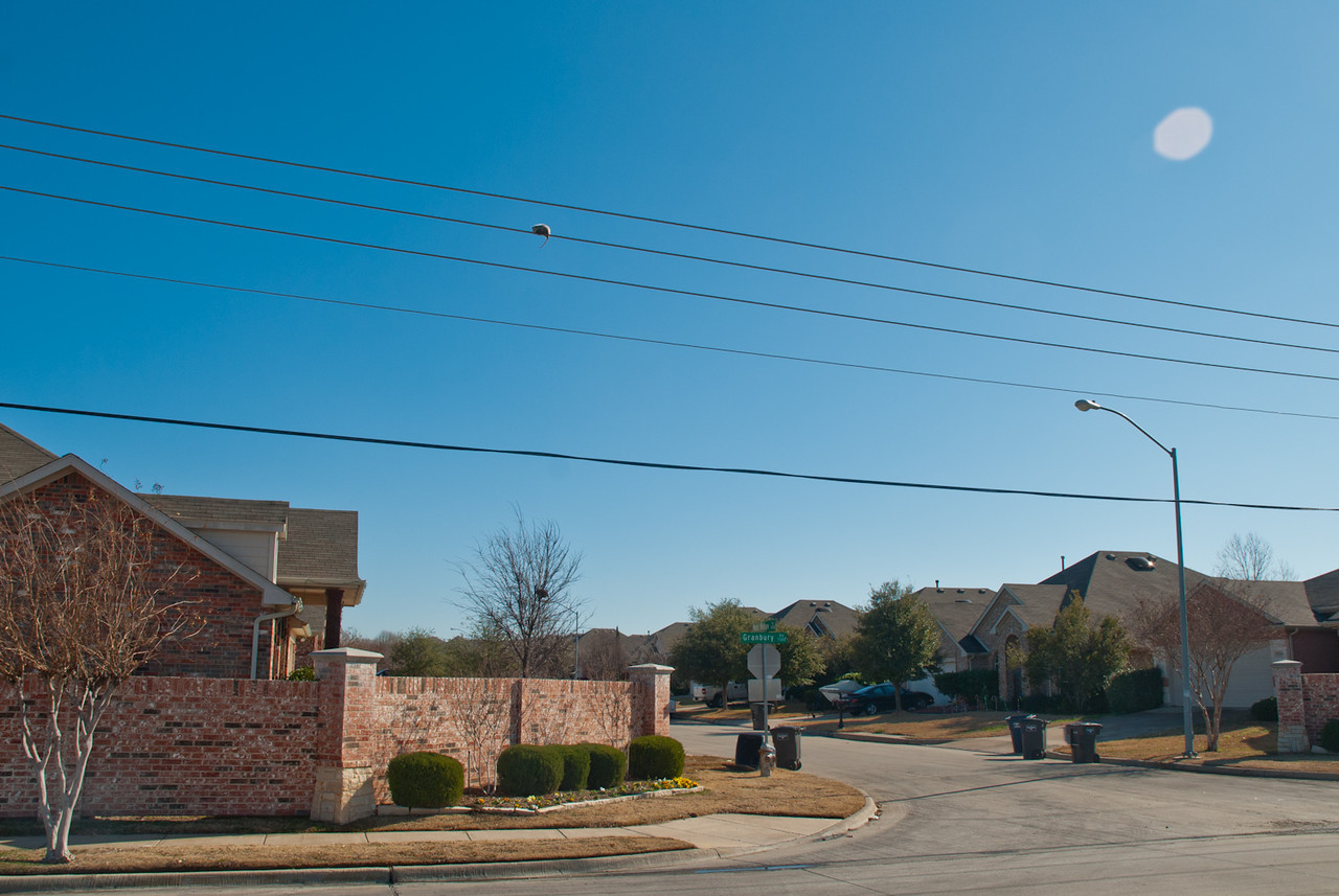 DSC1514-X2.jpg