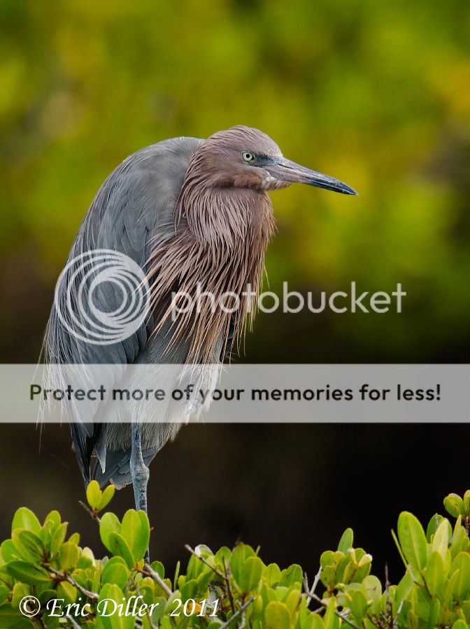 _ECD0322-copy900.jpg