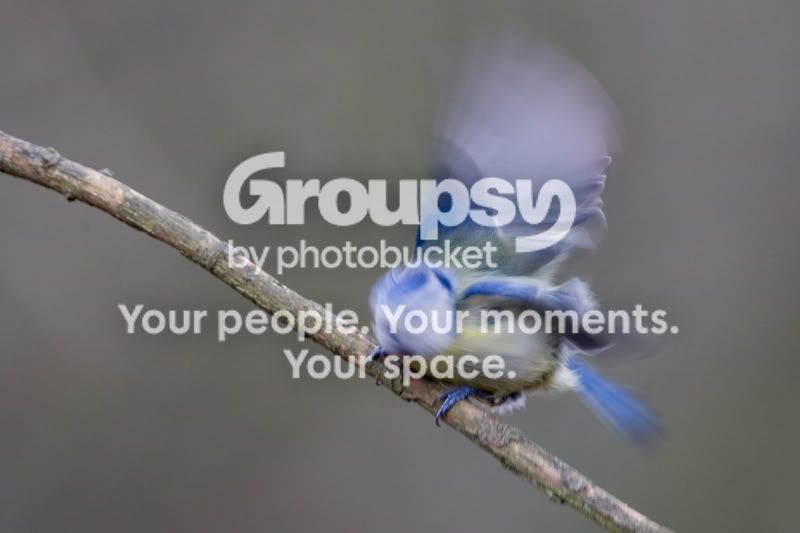 _N0H4587.jpg