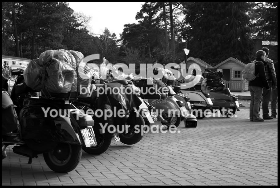 IMG_0016bw.jpg