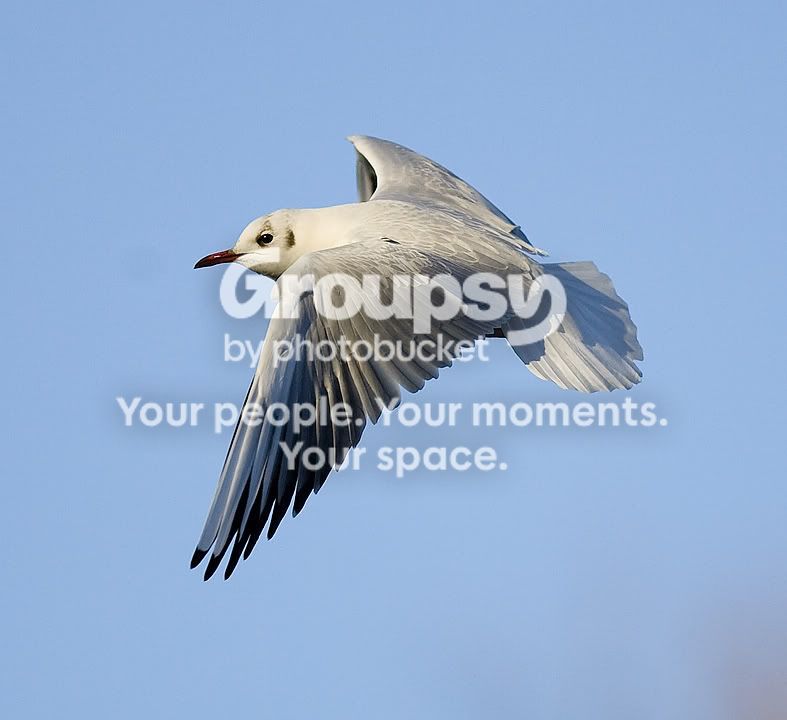 _H0X3873.jpg