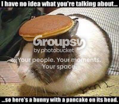 bunnywithpancakehead.jpg