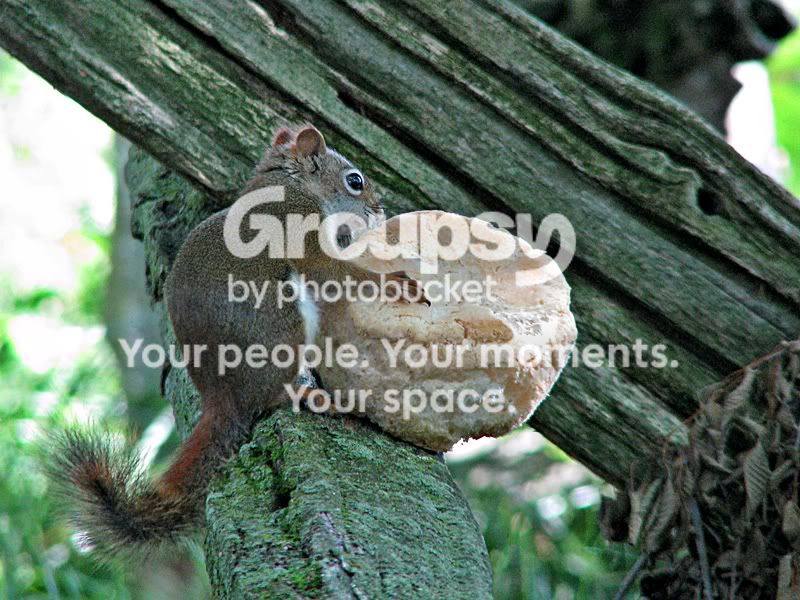 IMG_4072sm.jpg