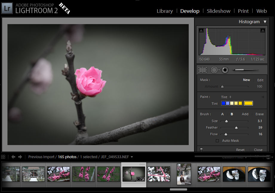 Lightroom-2.0-beta-release.jpg