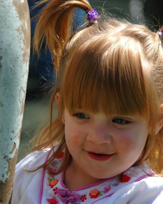 DSC_3026web.jpg