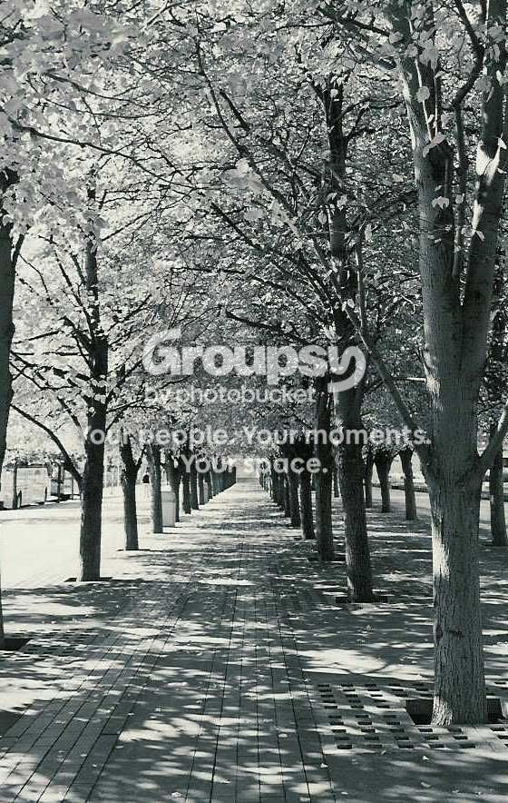 scan0109.jpg