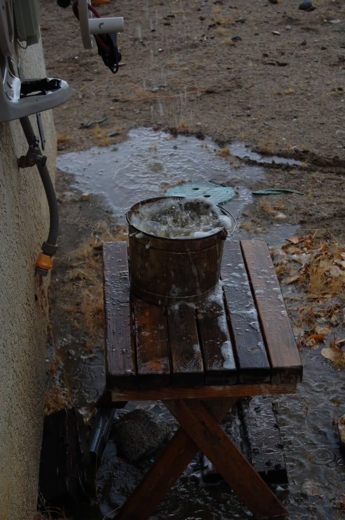 DSC_0054.jpg