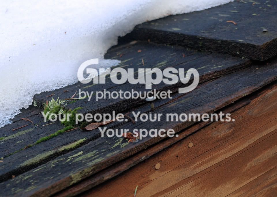RecedingSnow-LowResP1022925.jpg