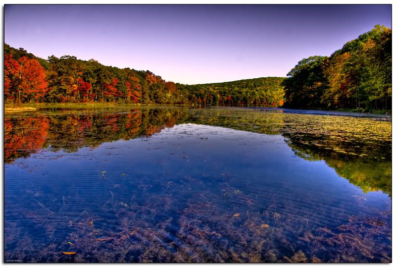 20081011-000And4More_tonemapped-419.jpg