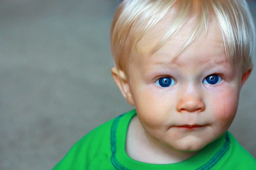 3710473772_661ef6cb5c.jpg